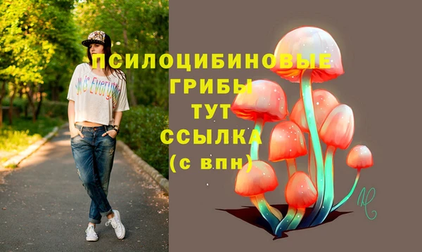 мяу мяу кристалл Алексин