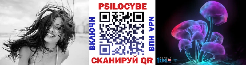 Псилоцибиновые грибы GOLDEN TEACHER  купить наркотики цена  гидра ONION  Лесосибирск 