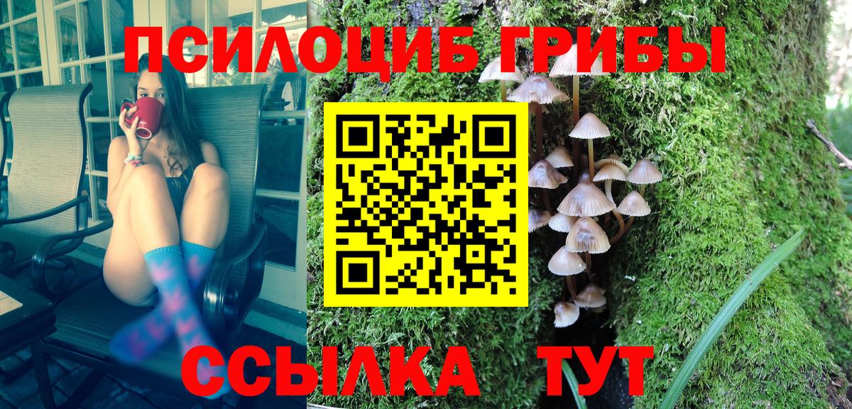 Галлюциногенные грибы GOLDEN TEACHER Лесосибирск